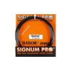 Cordage Signum Pro Hypérion 12m